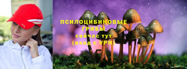 соль ск Абдулино
