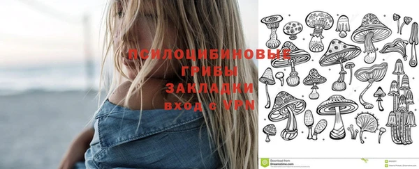 прущие крисы Абаза