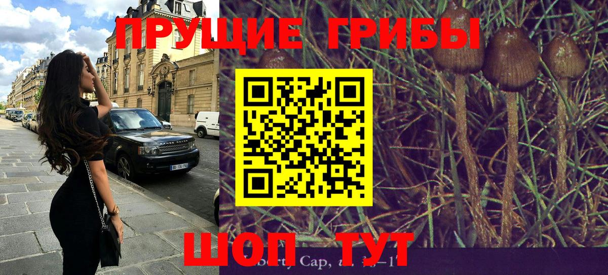 Сертолово  Псилоцибиновые грибы прущие грибы  Вход с VPN 