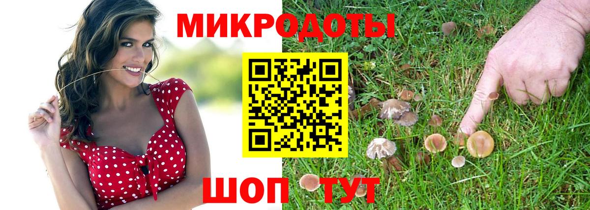 Галлюциногенные грибы Psilocybine cubensis Сертолово